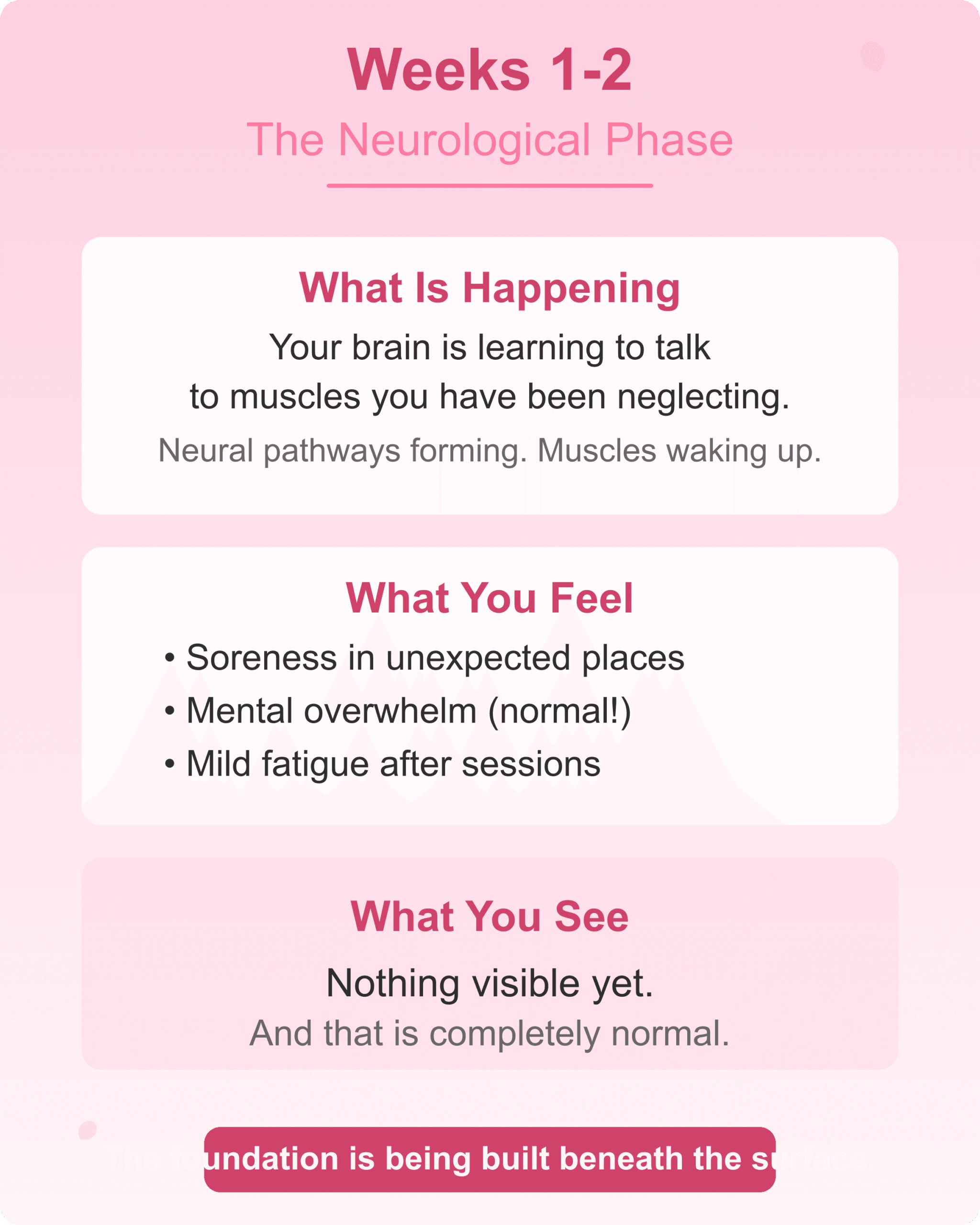 Weeks 1-2 Neurological Phase Reformer pilates weeks 1 to 2 neurological adaptation phase explained
