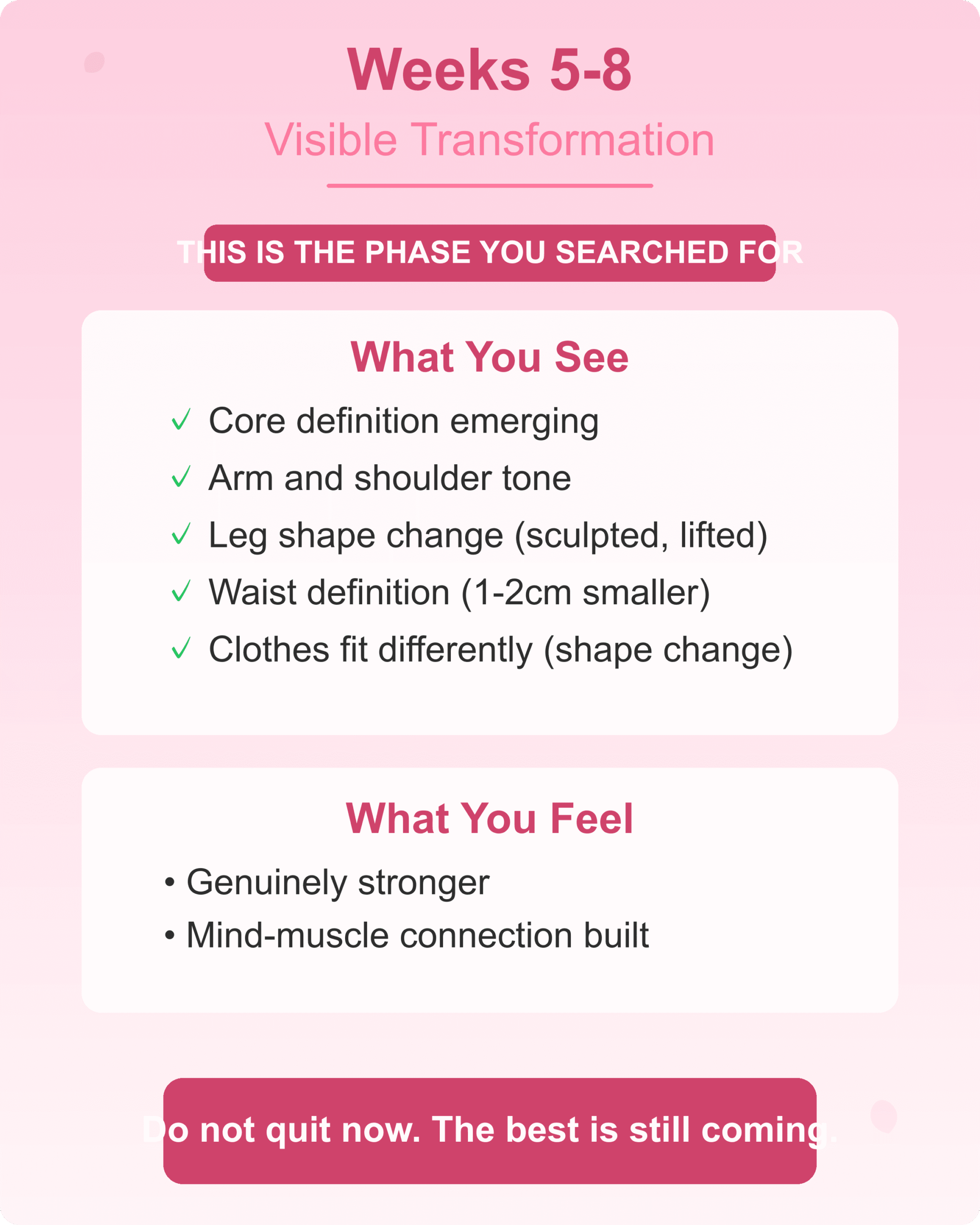 Weeks 5-8 Visible Transformation Reformer pilates weeks 5 to 8 visible body transformation begins